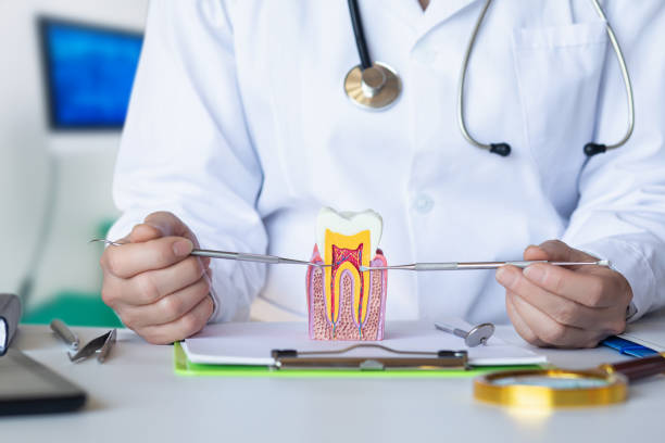 Best Dentist for Tooth Abscess  in Cabot, AR